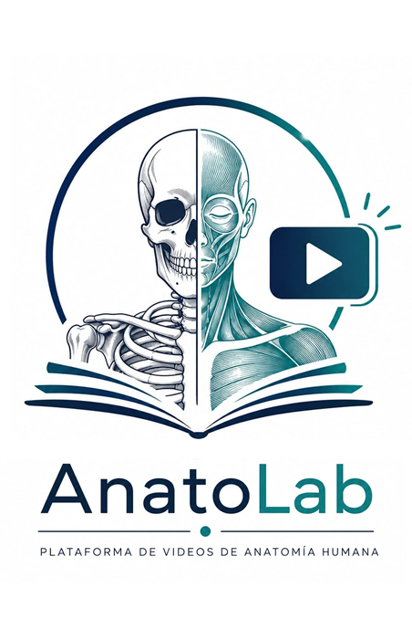 AnatoLab, curso online de anatomía humana